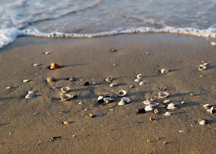 Two-bedroom With Private Garden Bibione